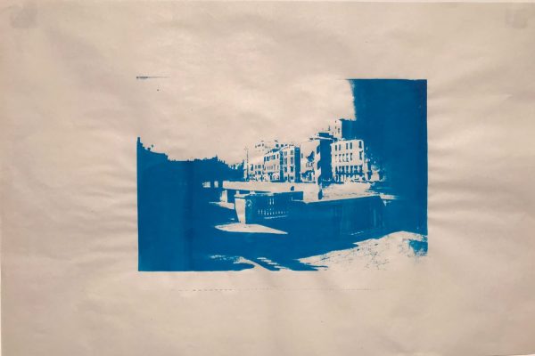 Screen print 1.17 - venice - ameliabrookart